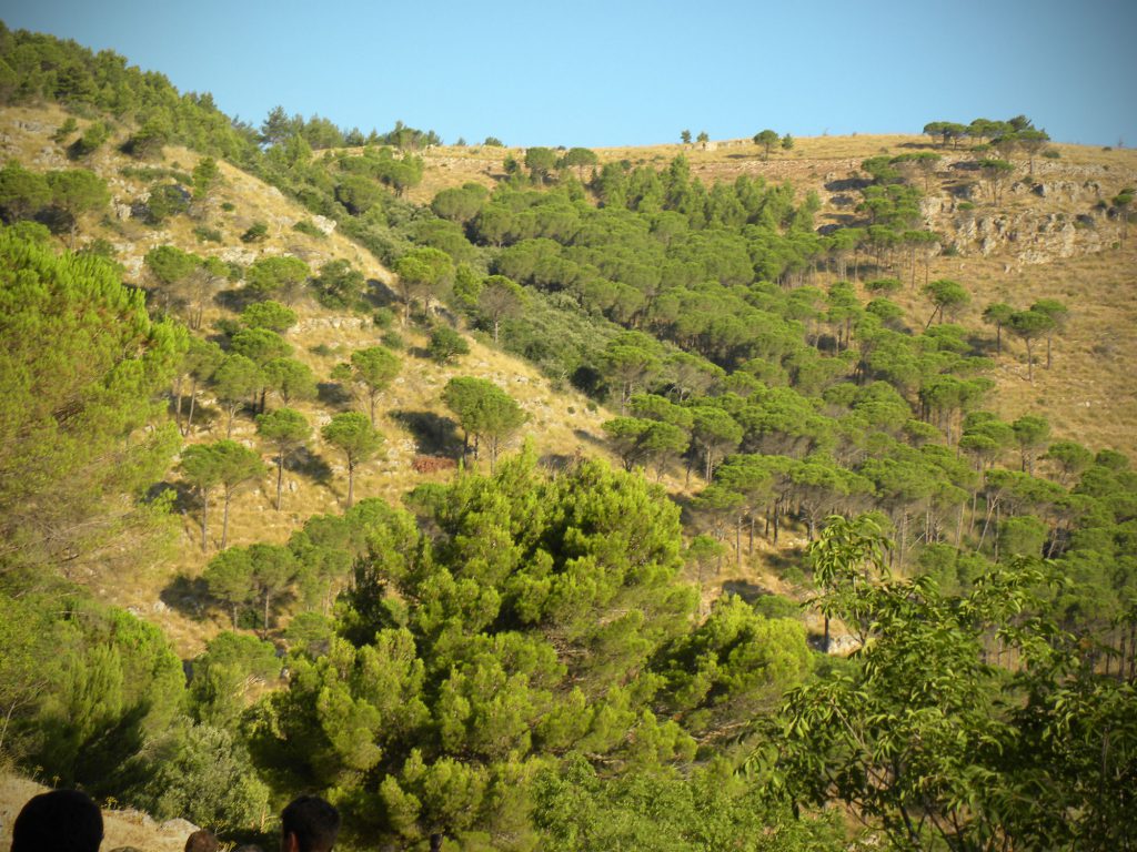 Monte Inici