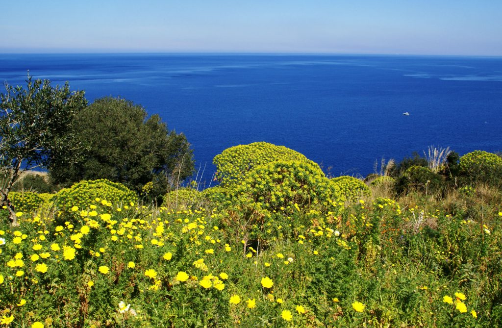 Cala Mazzo